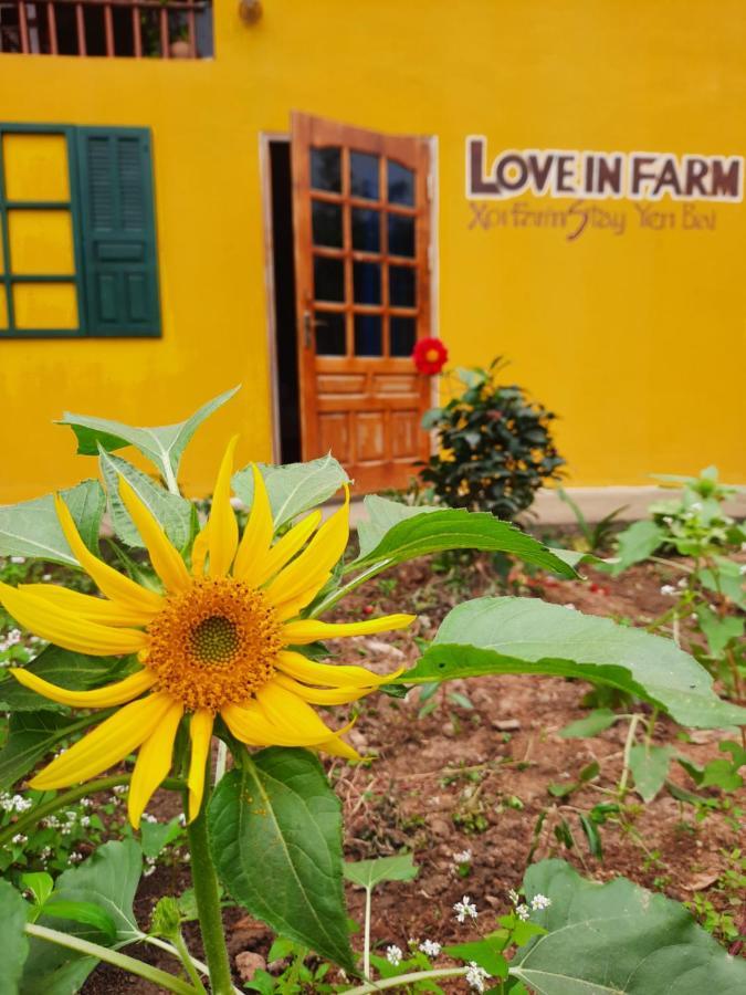 Xôi Farmstay - Eco Homestay Lục Yên Yên Bái Extérieur photo