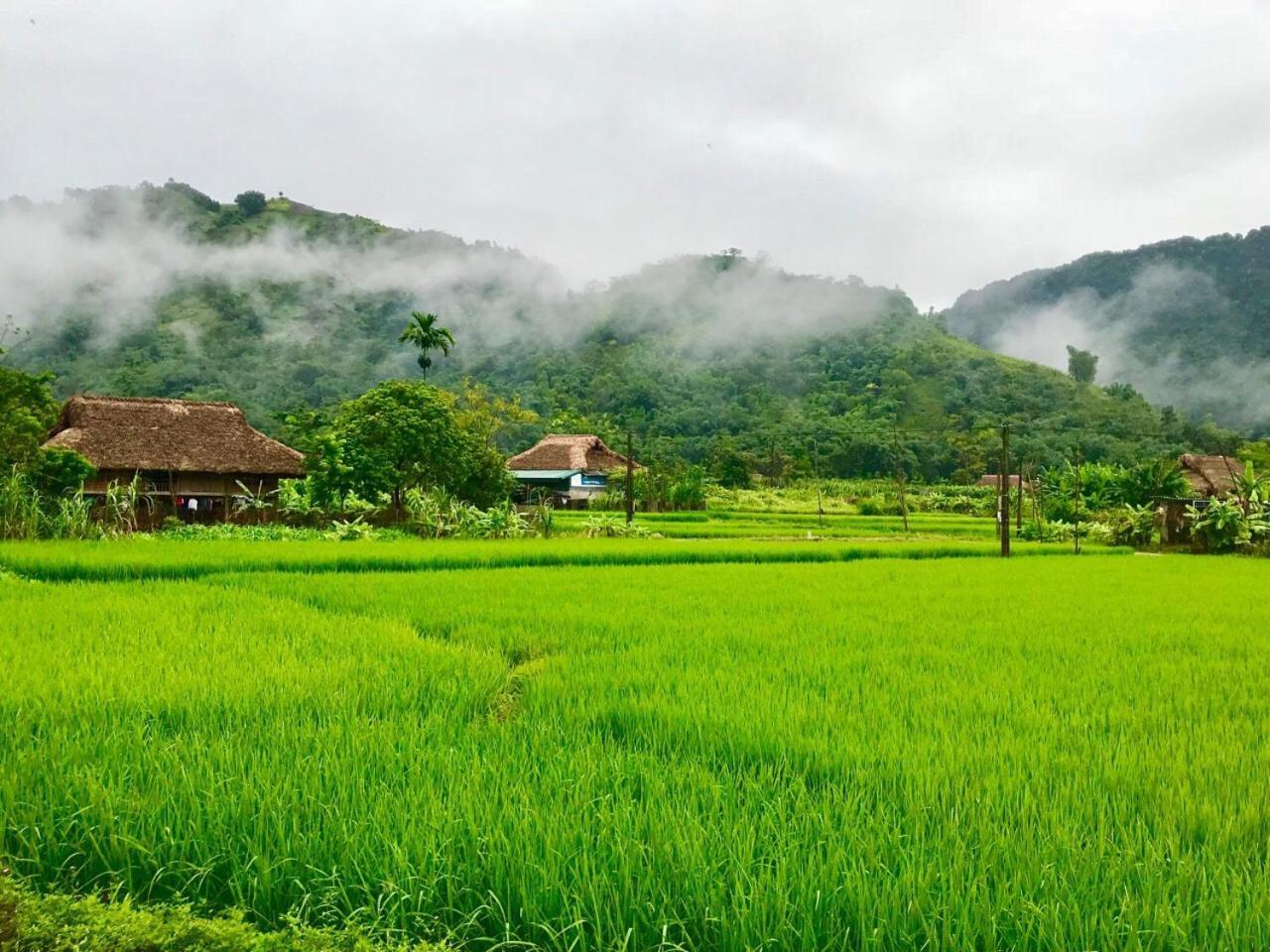 Xôi Farmstay - Eco Homestay Lục Yên Yên Bái Extérieur photo