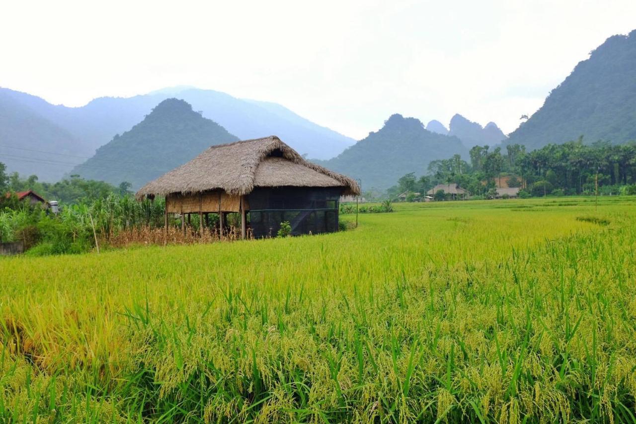 Xôi Farmstay - Eco Homestay Lục Yên Yên Bái Extérieur photo