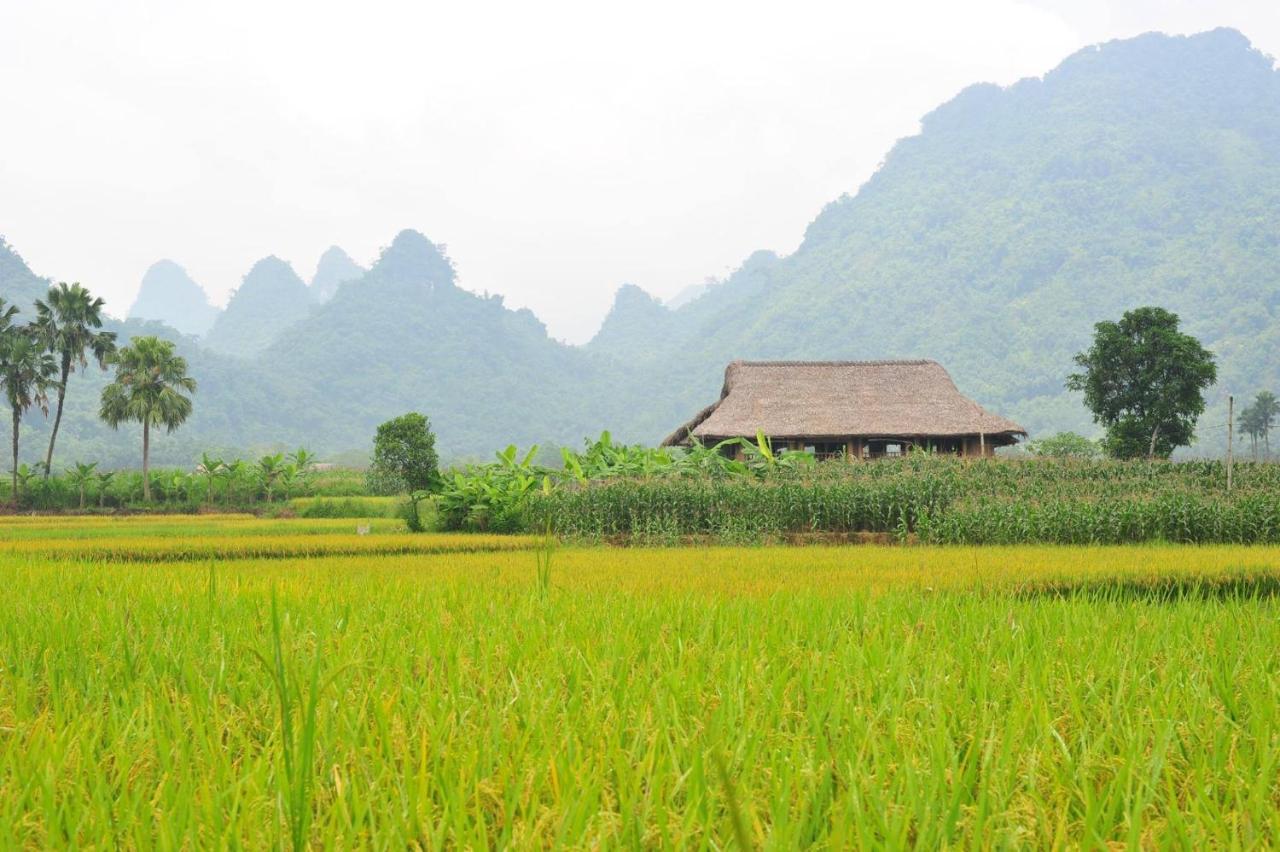 Xôi Farmstay - Eco Homestay Lục Yên Yên Bái Extérieur photo