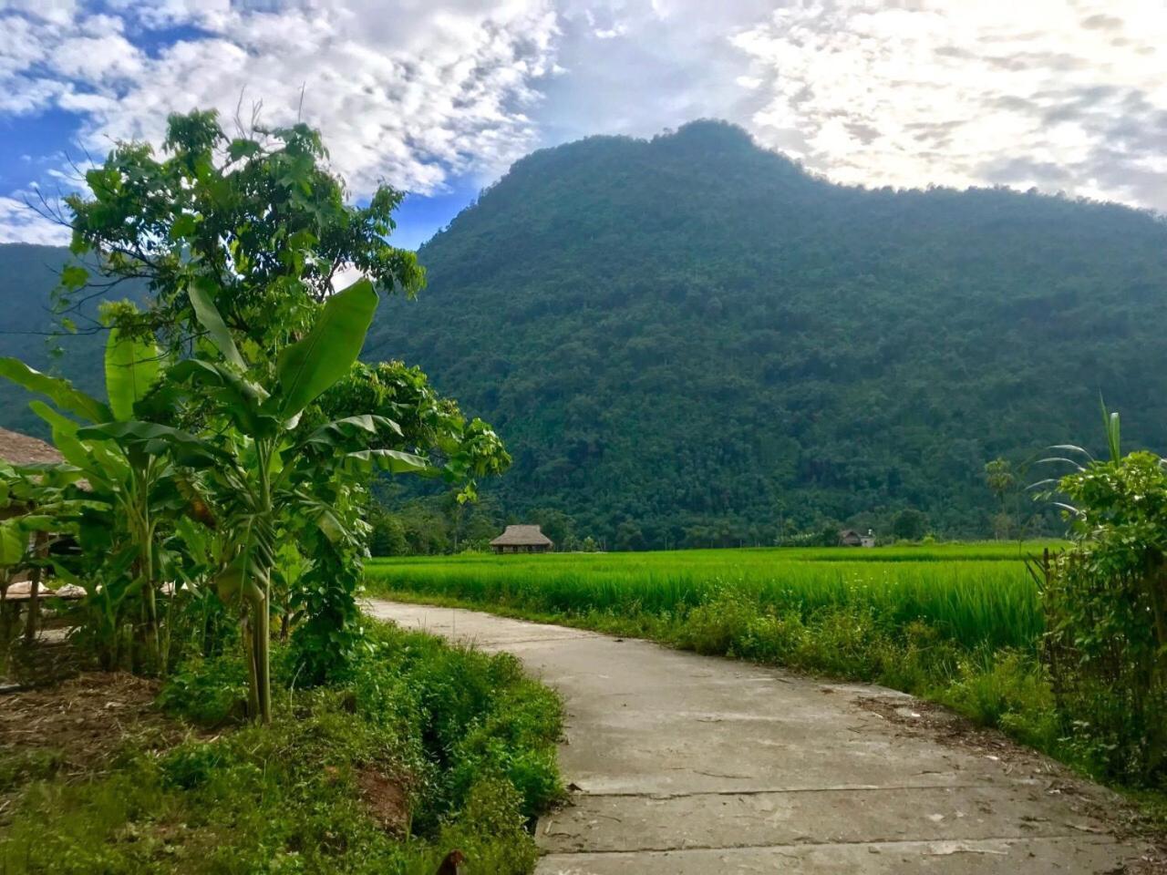 Xôi Farmstay - Eco Homestay Lục Yên Yên Bái Extérieur photo