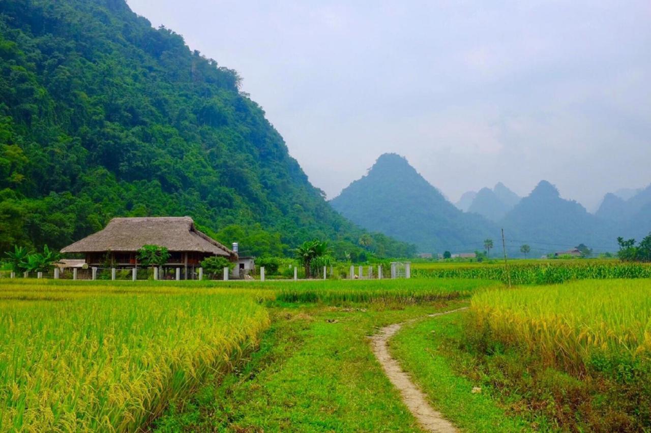 Xôi Farmstay - Eco Homestay Lục Yên Yên Bái Extérieur photo