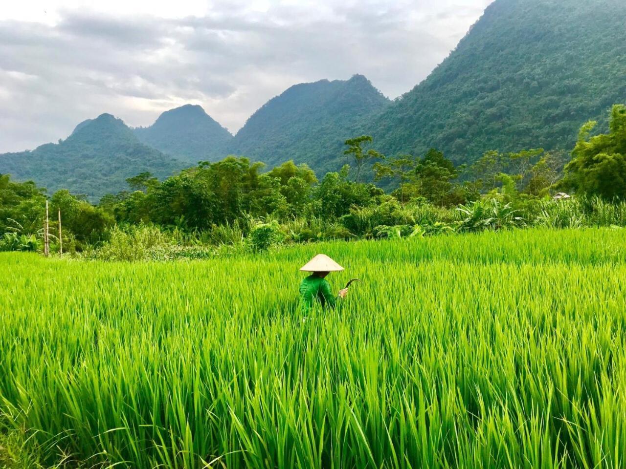 Xôi Farmstay - Eco Homestay Lục Yên Yên Bái Extérieur photo