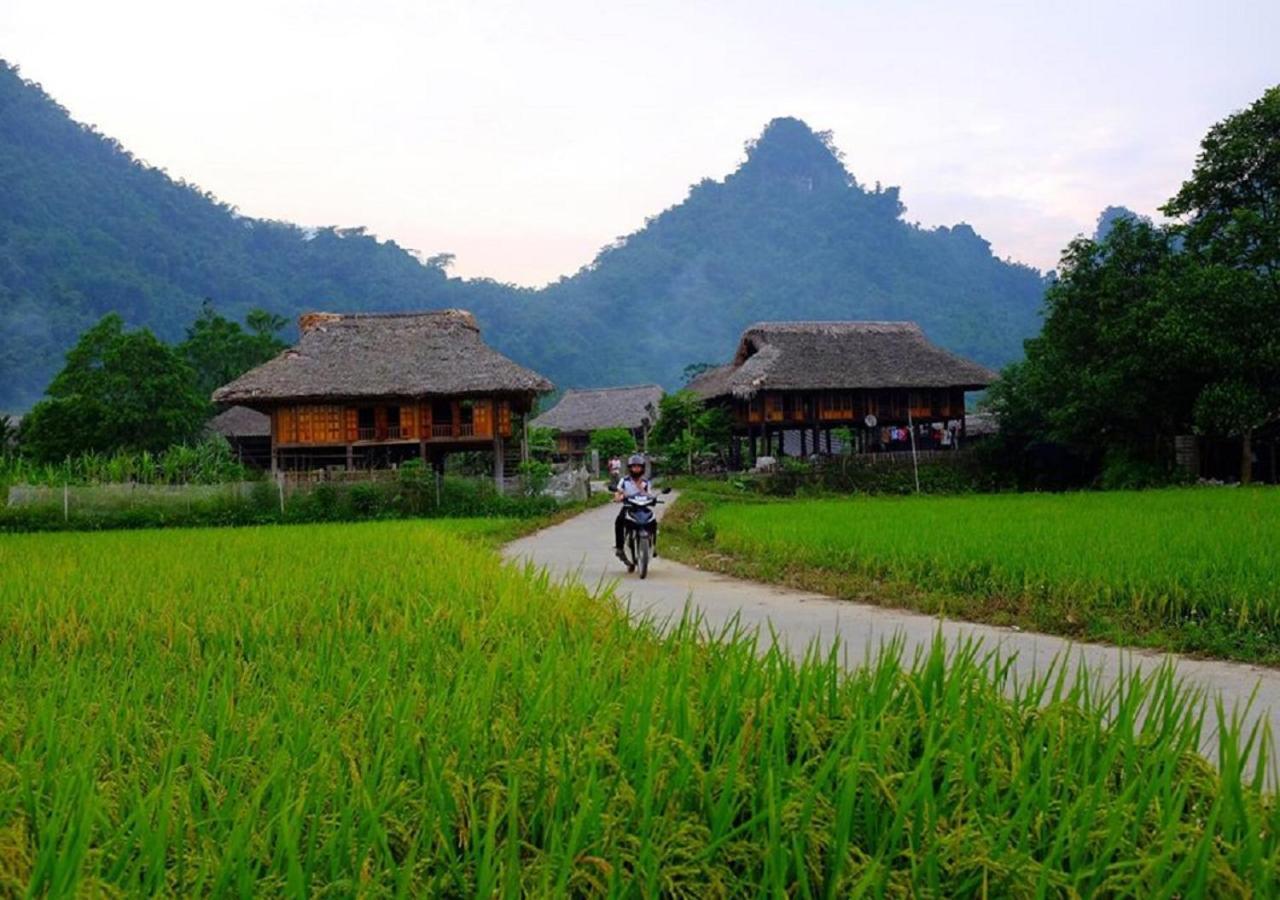 Xôi Farmstay - Eco Homestay Lục Yên Yên Bái Extérieur photo