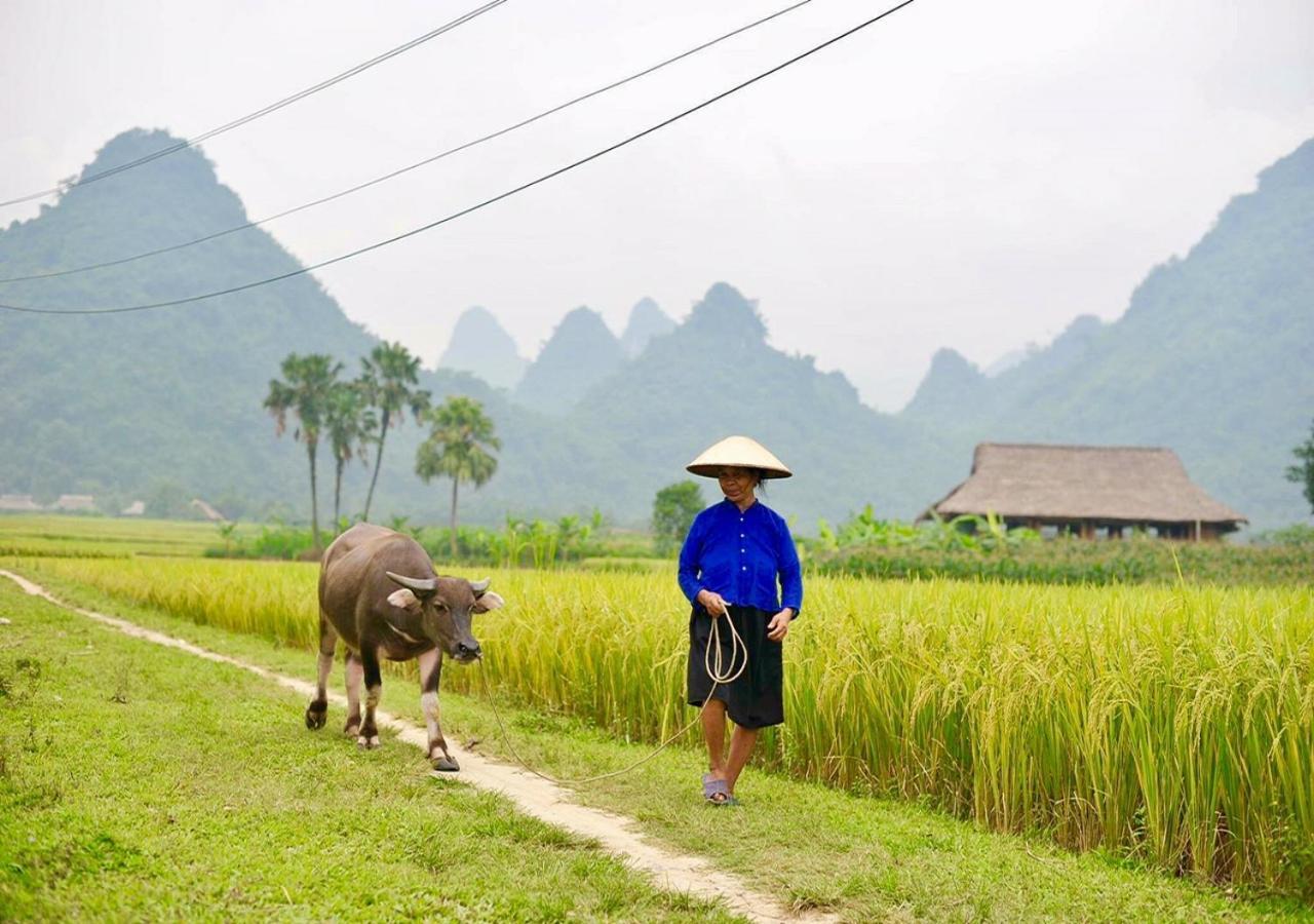 Xôi Farmstay - Eco Homestay Lục Yên Yên Bái Extérieur photo