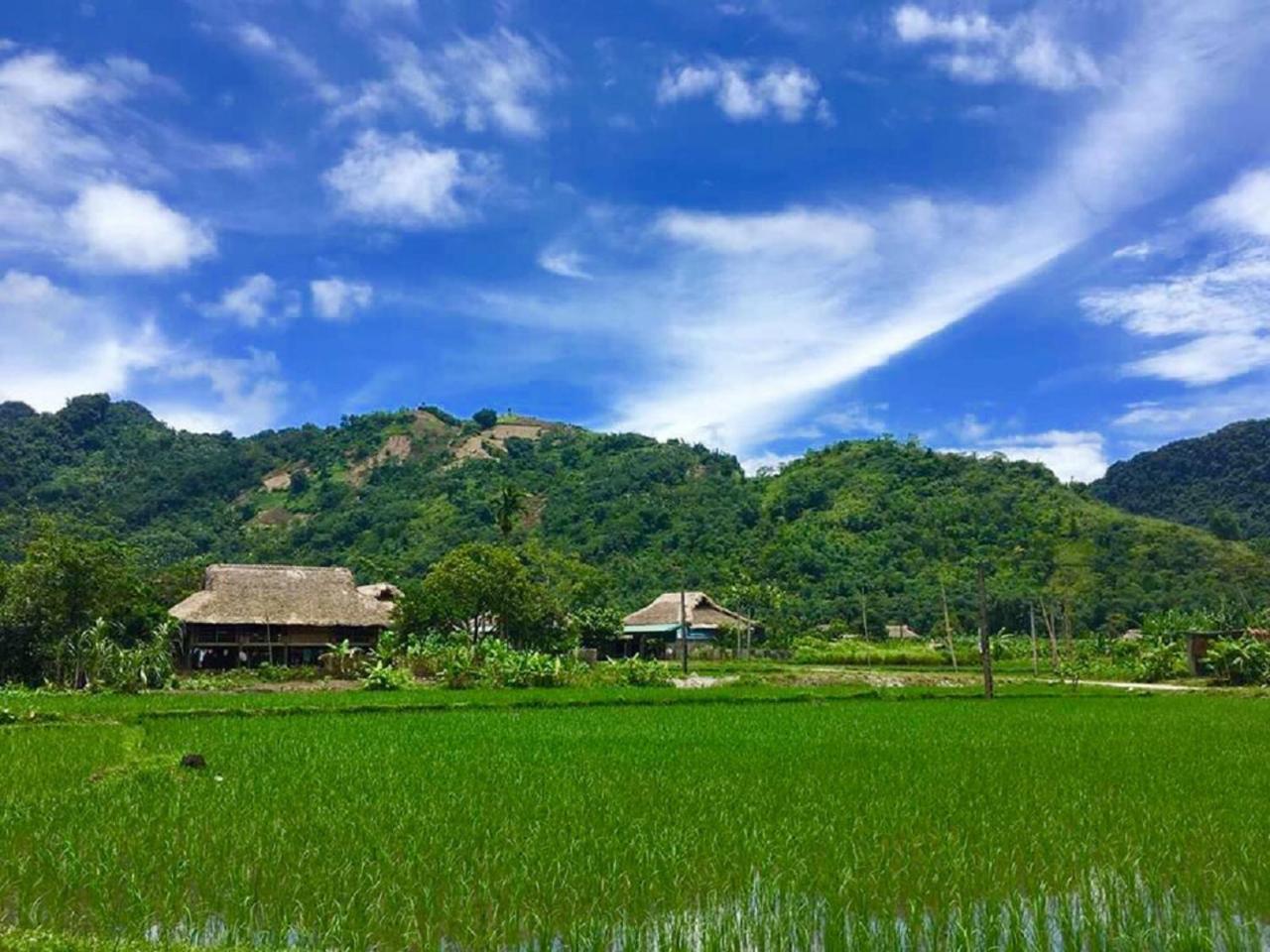 Xôi Farmstay - Eco Homestay Lục Yên Yên Bái Extérieur photo