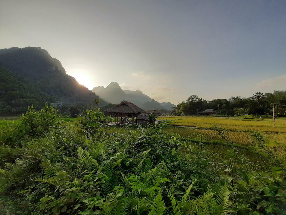 Xôi Farmstay - Eco Homestay Lục Yên Yên Bái Extérieur photo